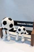 Football bench with large and small balls